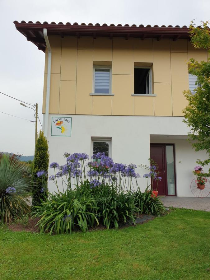 Gites Vue Montagne St Jean Pied De Port Pays Basque Saint-Jean-Pied-de-Port Luaran gambar