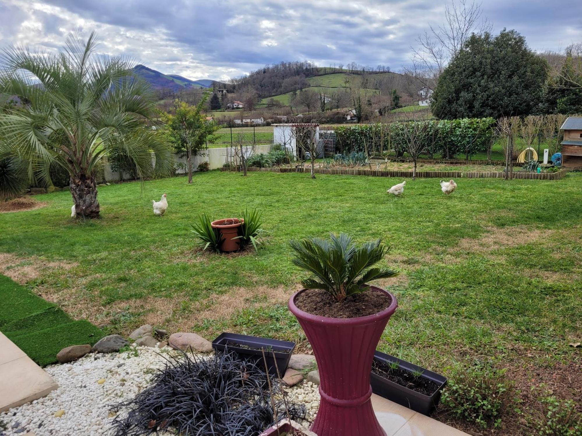 Gites Vue Montagne St Jean Pied De Port Pays Basque Saint-Jean-Pied-de-Port Luaran gambar